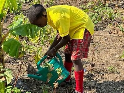Holistic Haitian Alliance | sustainable agriculture Haitian boy watering garden