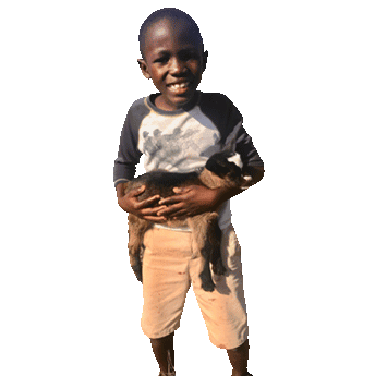 Holistic Haitian Alliance | impact hha partners smiling Haitian boy with puppy