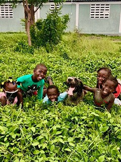 Holistic Haitian Alliance | sustainable agriculture programs happy Haitian children in field
